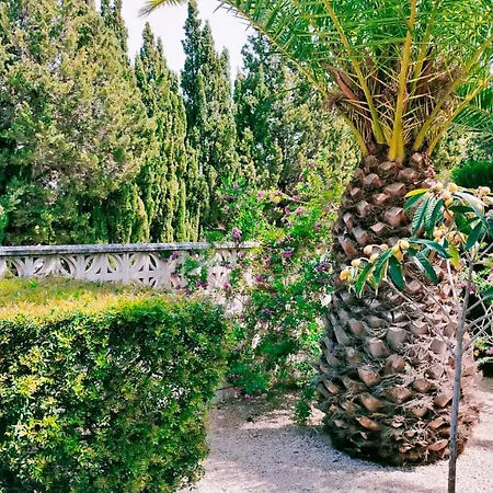 El Palmar * דניה