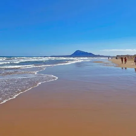 El Palmar דניה