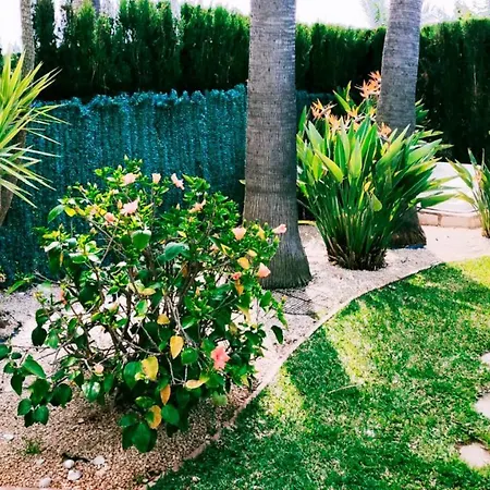 Semesterbostad El Palmar Denia