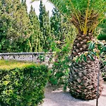 El Palmar * Dénia